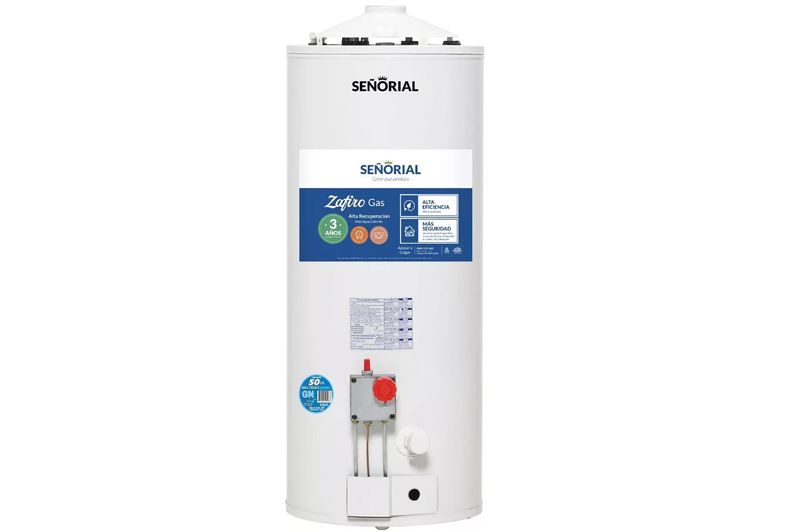 TermotanqueSenorial50LitrosAltaRecuperacionPromo