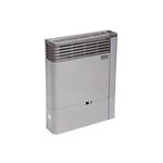 CalefactorTiroBalanceadoEmegeEuro3500cMultigas2135Tb