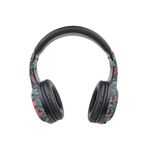 AURICULARESVINCHASLAGSTROMBERG