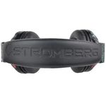 AURICULARESVINCHASLAGSTROMBERG