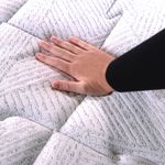 image-1445594803e64fec90a98d3e608c964a
