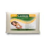 Almohada-Visco-Clasica-Cannon-62-x-40-x-12-cm