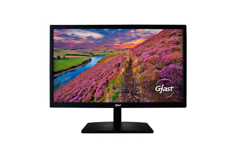 MonitorGFast215”T220FHD60Hz
