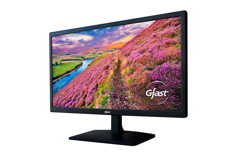 MonitorGFast215”T220FHD60Hz