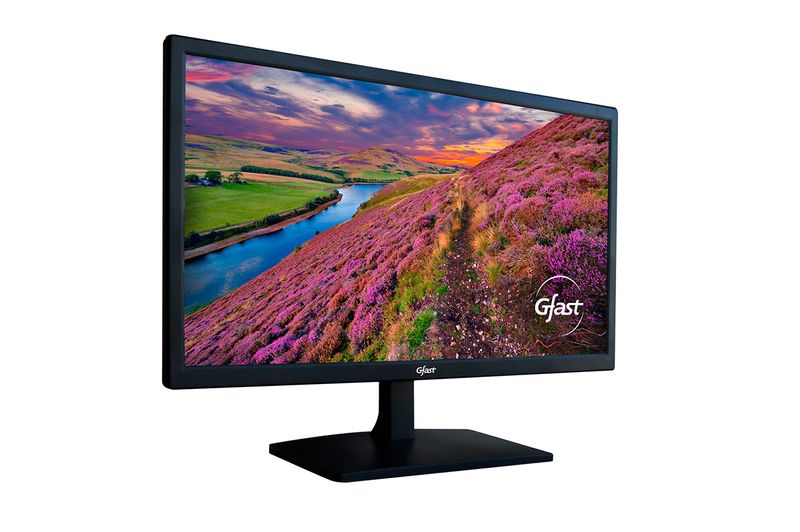 MonitorGFast215”T220FHD60Hz