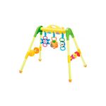 Gimnasio-de-Bebe-Priori-HE0601