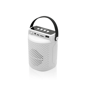 Parlante Potenciado Panacom SP1310 Bluetooth Aux Radio Blanco