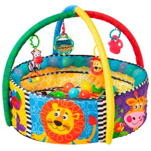 Gimnasio de Actividades Pelotero Playgro