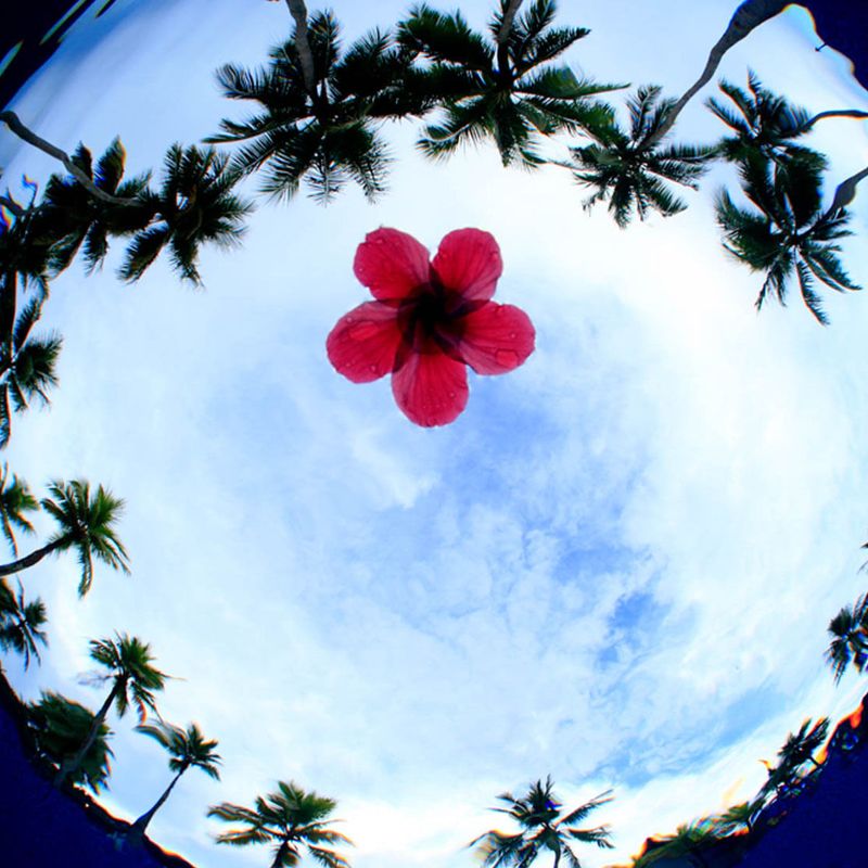 image-c987f4302b4f41b2923132c13e9272f1