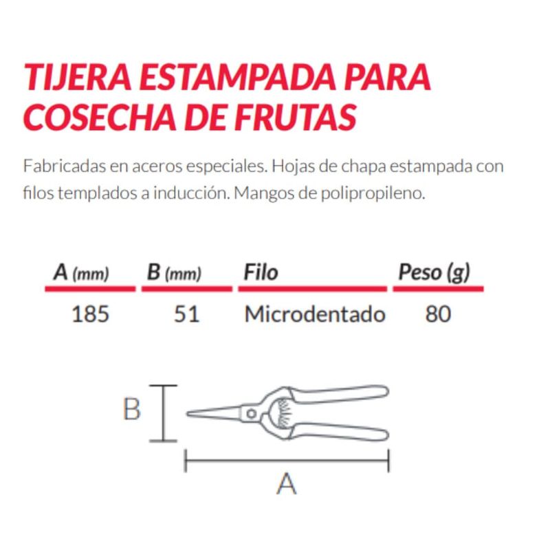 image-faca04922e0a43d1aa450700af9aa60a