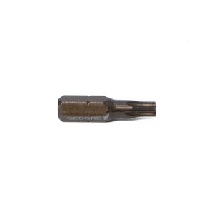 Punta Torx Encastre 1/4"