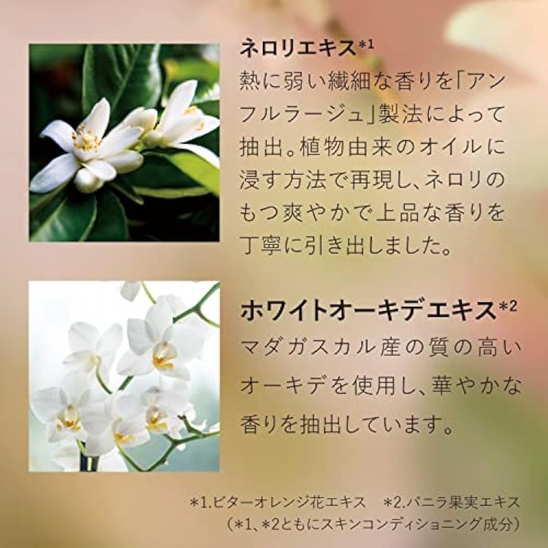image-81467e47b6e74513a60d39a46f37a32e