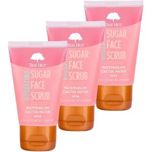 Exfoliante facial hidratante de sandía y cactus, 1.5 onzas líquidas, limpiador profundo de poros con