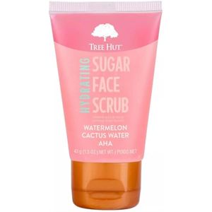 Exfoliante facial hidratante de sandía y cactus, 1.5 onzas líquidas, limpiador profundo de poros con