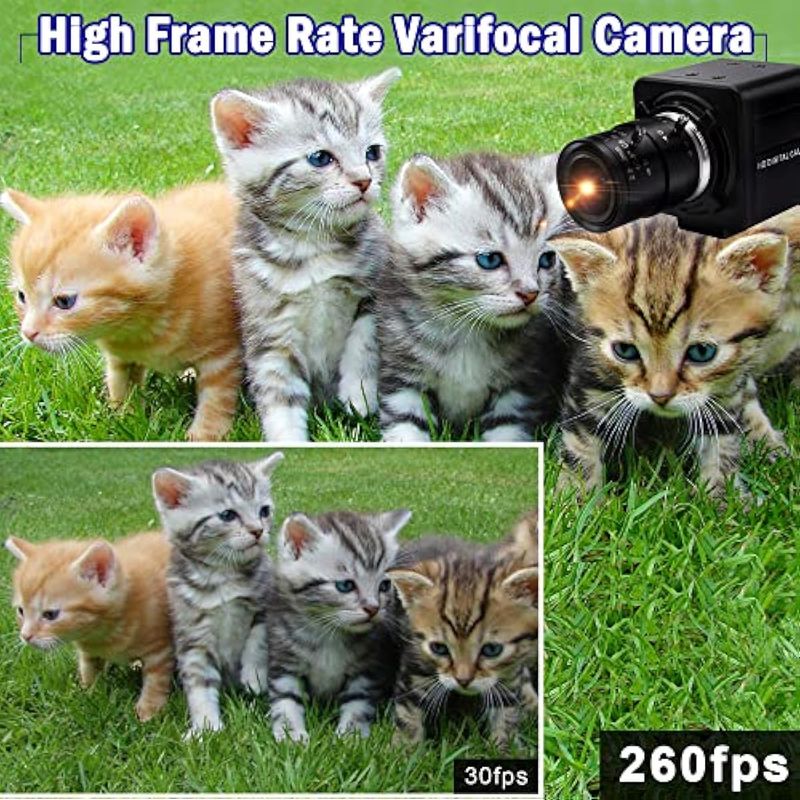 image-3e449456be6141fc9612d5ba4efda533