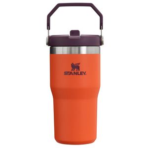 Stanley IceFlow - Vaso de acero inoxidable con popote, botella de agua aislada al vacío para casa,