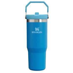 Stanley IceFlow - Vaso de acero inoxidable con popote, botella de agua aislada al vacío para casa,