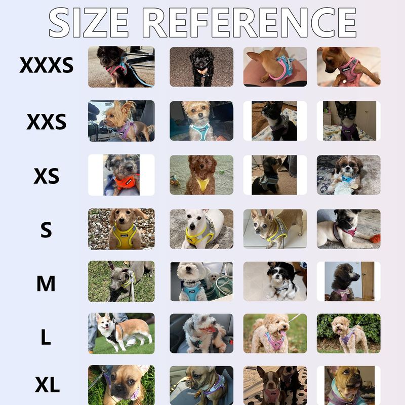 image-fa66cc49d2e149d084df8f19a4b35970