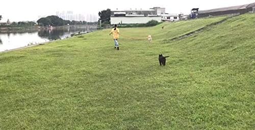 image-bbe96ad221724dac869da013e24e1986