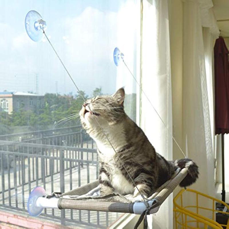 image-63af34893daa41209cd4db6a45040e2e