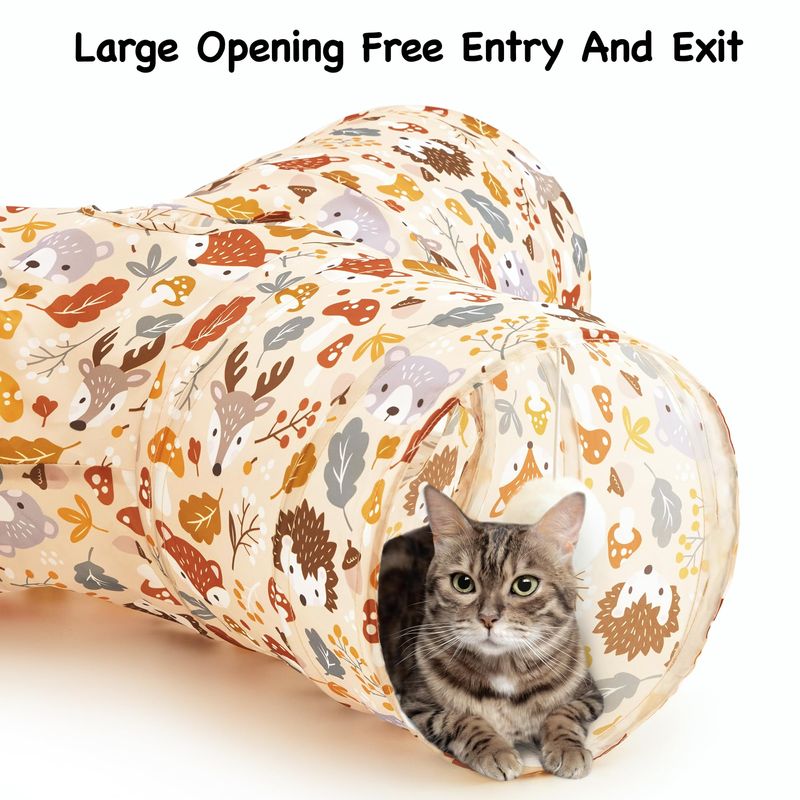 image-c8eac74cd6344e81a385d3ba7b1dea9f