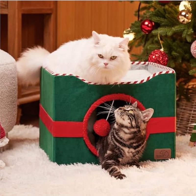 image-339ac52c28f4460bb8814cb1f523e0a8