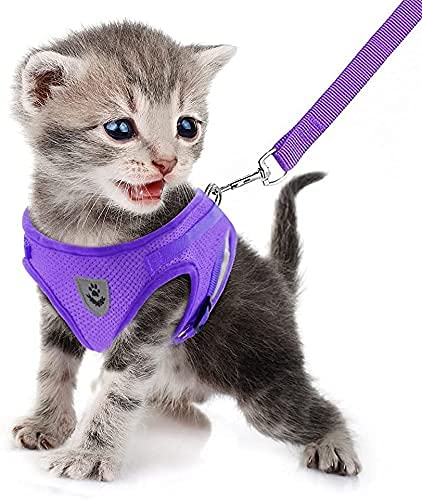 image-2da1acd8e8e540d588307c2f7fa45eb7