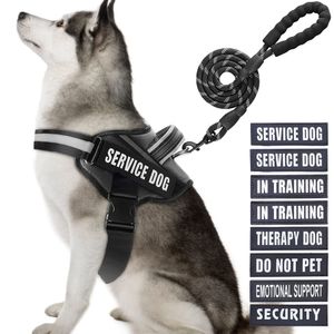 Juego de arnés de chaleco y correa para perro, arnés de entrenamiento para perro con 10 parches para