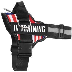 Arnés esencial para perro con 3 clips para correa, ajustable, cómodo arnés de chaleco para mascotas