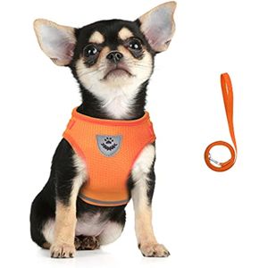 FEimaX Juego de arnés y correa para perro, malla suave, ajustable, fácil de controlar, chaleco