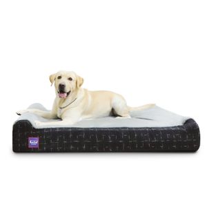 Laifug - Cama ortopédica de espuma viscoelástica extra grande para perro, con almohada y forro