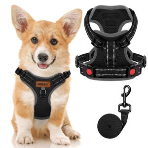 MIDOG Arnés para perro, arnés sin tirones y correa para perros pequeños, medianos y grandes, arnés