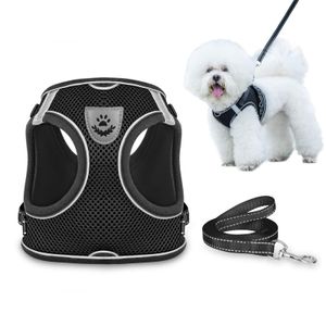 Juego de arnés y correa para perro para caminar, arnés chaleco a prueba de escape con malla suave,