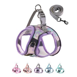 Juego de arnés y correa ajustable para perros pequeños y medianos, sin tirones ni pisos, arnés de