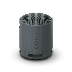 Sony SRSXB100/B Reproductor de MP3 portátil Sistemas de altavoces inalámbricos Negro