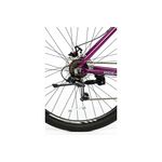 Bicicleta Gravity Dabomb R29 M/L Violeta Verde