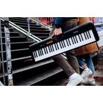 Teclado CT-S100+Fuente 9V1000 Casio