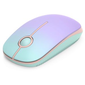 Unipows Mouse inalámbrico – Ratón de computadora portátil delgado de 2.4 G con nano receptor,