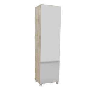 Mueble de Guardado Zapatero con estantes Ruedas y puerta espejo - 1424