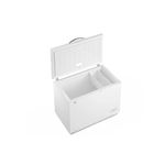 Freezer Horizontal Gafa FGHF300B 316L