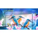 colores-mas-vivos