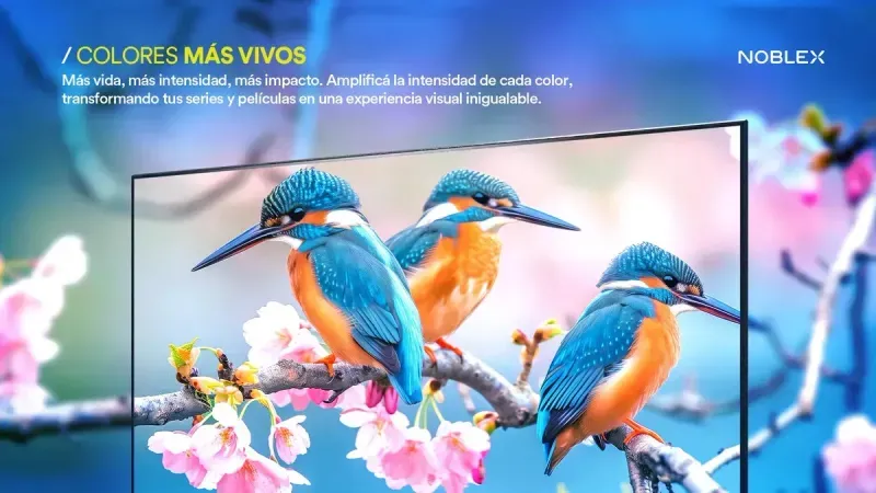 colores-mas-vivos