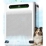 Purificador de Aire FreAire HAP605 con Filtro HEPA y Lavable para 2600 Pies Cuadrados